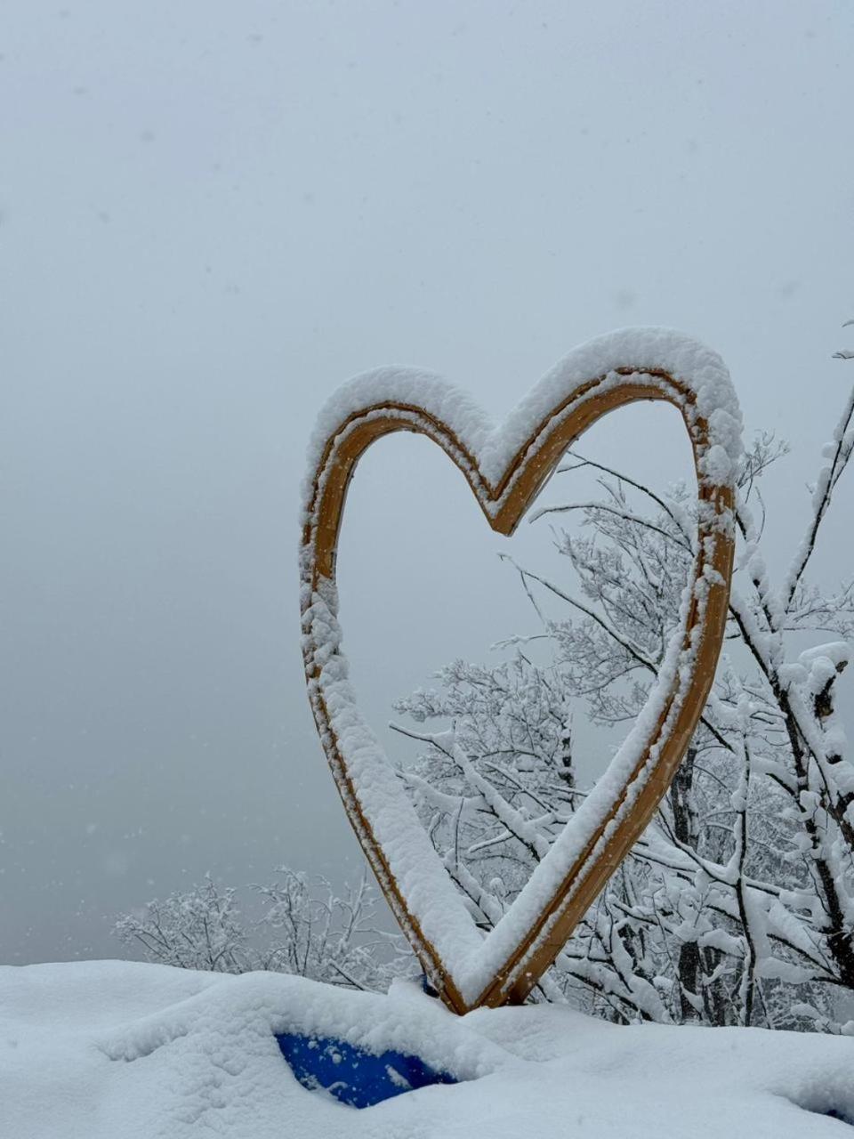 Infinity Sky Glamps Hotel Manali  Luaran gambar
