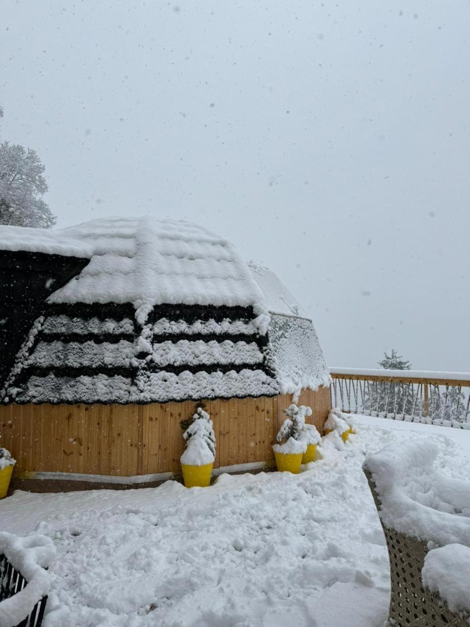 Infinity Sky Glamps Hotel Manali  Luaran gambar